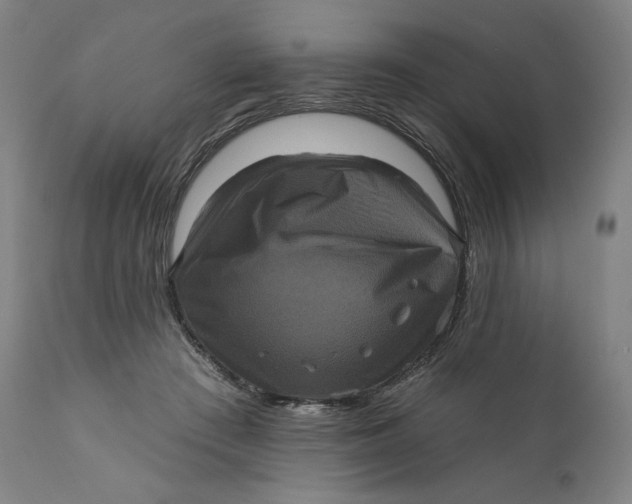 X0000111640409200908071347