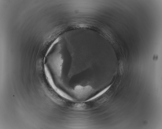 X0000111640410200908071347