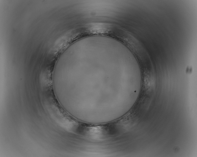 X0000111640411200908071347