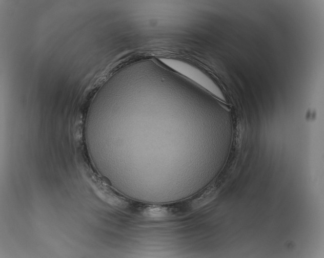 X0000111640413200908071347