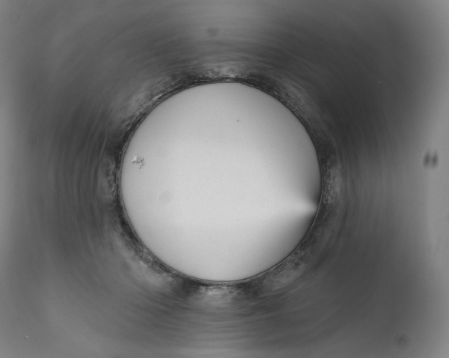 X0000111640414200908071347