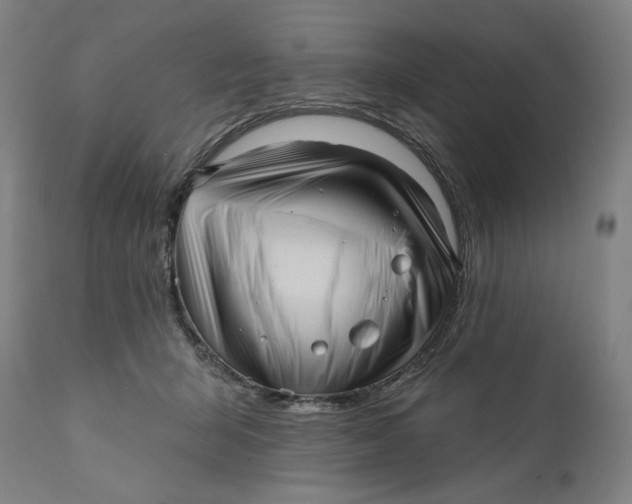 X0000111640415200908071347