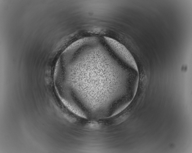 X0000111640416200908071347