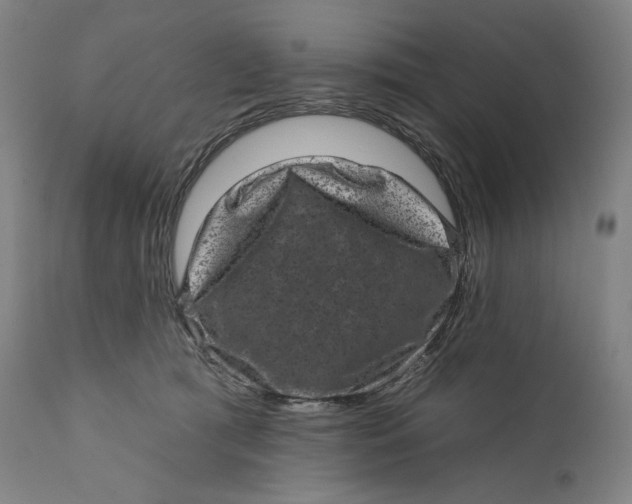 X0000111640417200908071347