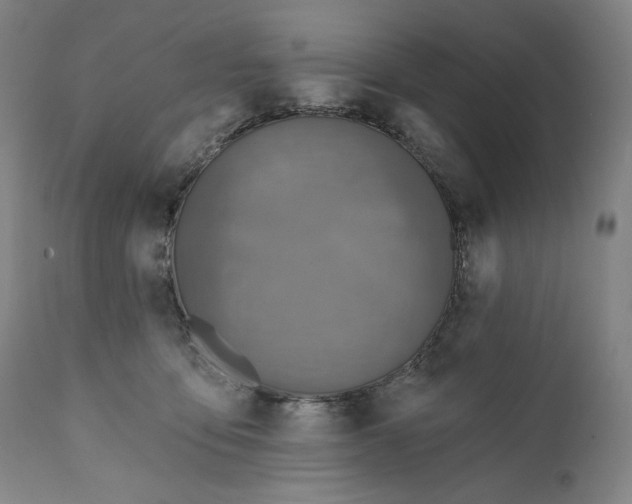 X0000111640419200908071347