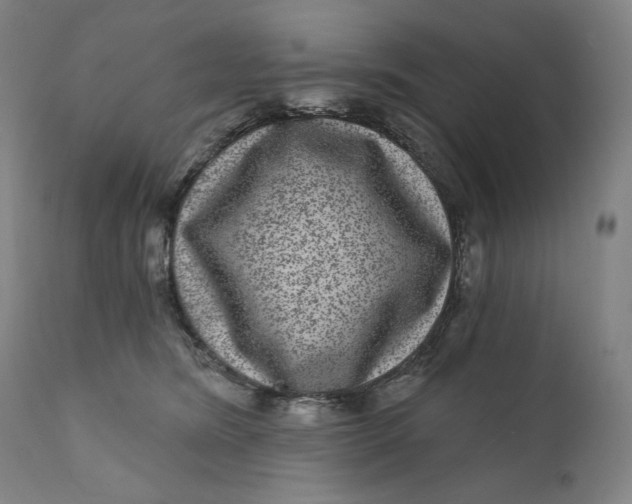 X0000111640420200908071347