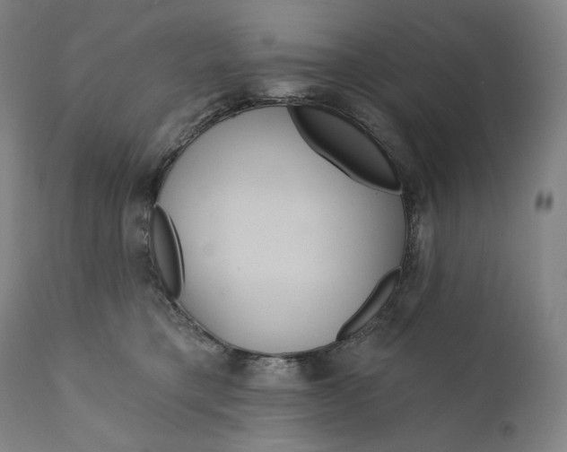 X0000111640421200908071347