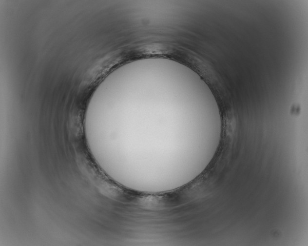 X0000111640422200908071347