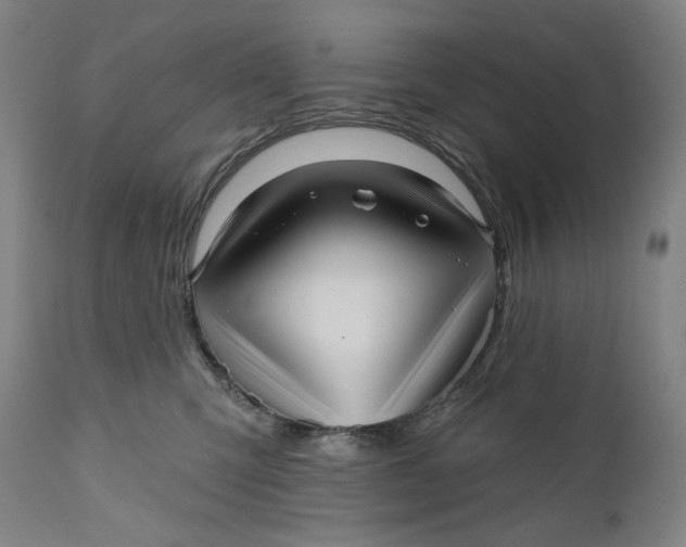 X0000111640423200908071347