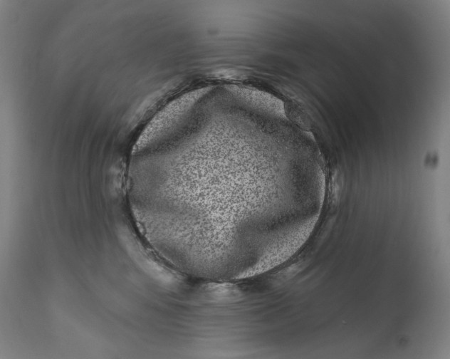 X0000111640424200908071347