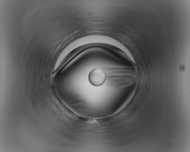 X0000111640425200908071347