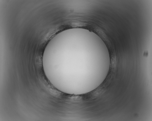 X0000111640426200908071347