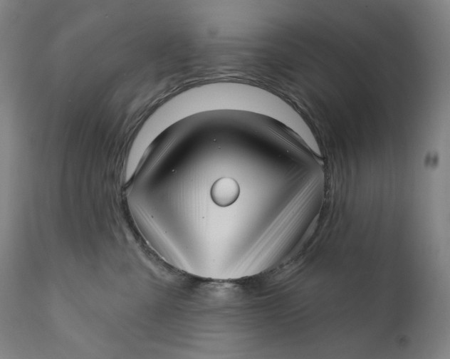 X0000111640427200908071347