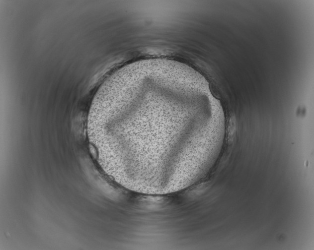 X0000111640428200908071347