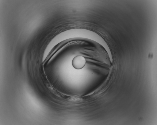 X0000111640429200908071347