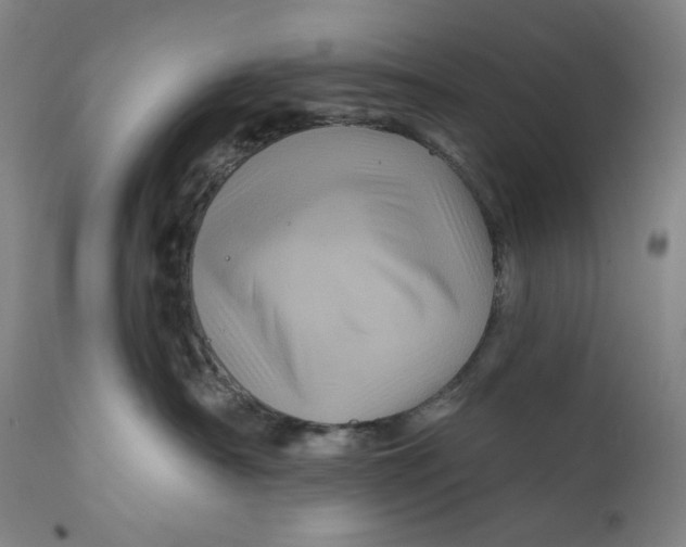 X0000111640430200908071347