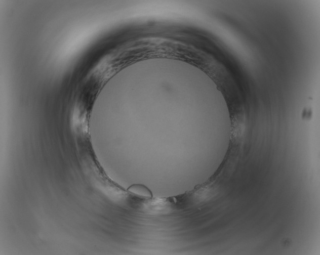 X0000111640431200908071347