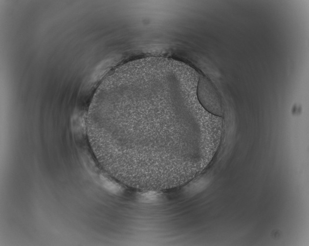 X0000111640432200908071347