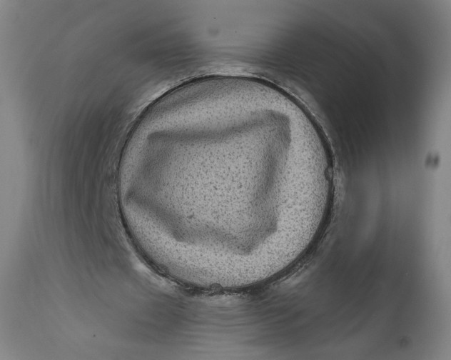 X0000111640433200908071346