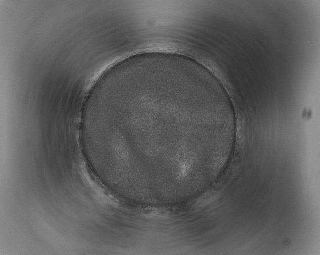 X0000111640434200908071346