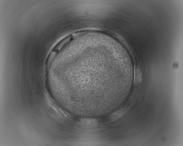 X0000111640435200908071346