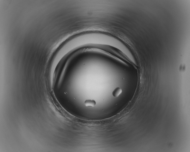 X0000111640436200908071346