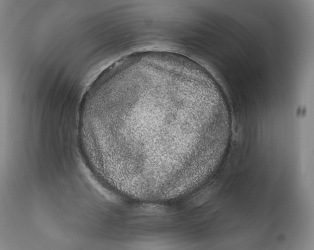 X0000111640437200908071346