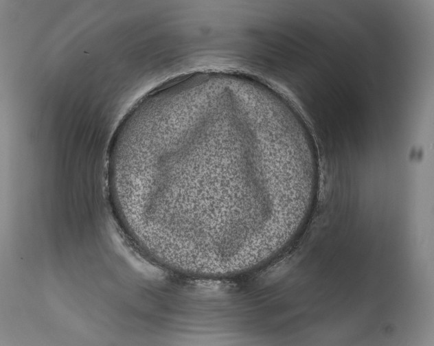 X0000111640439200908071346