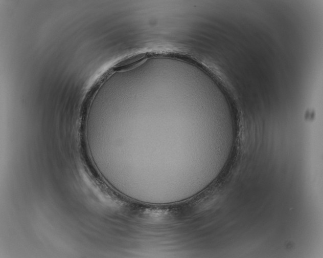 X0000111640440200908071346