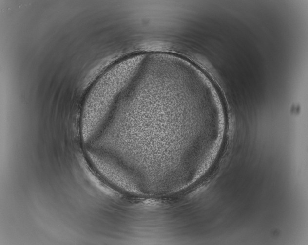 X0000111640441200908071346