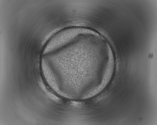 X0000111640442200908071346