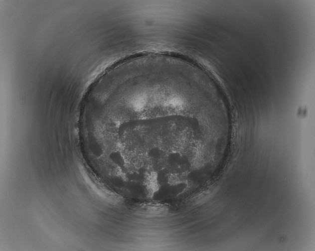 X0000111640443200908071346