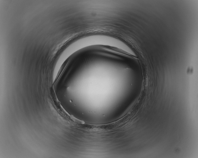 X0000111640444200908071346