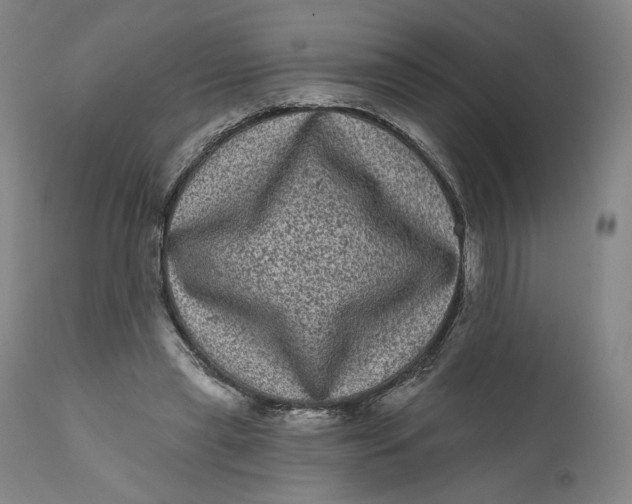 X0000111640445200908071346