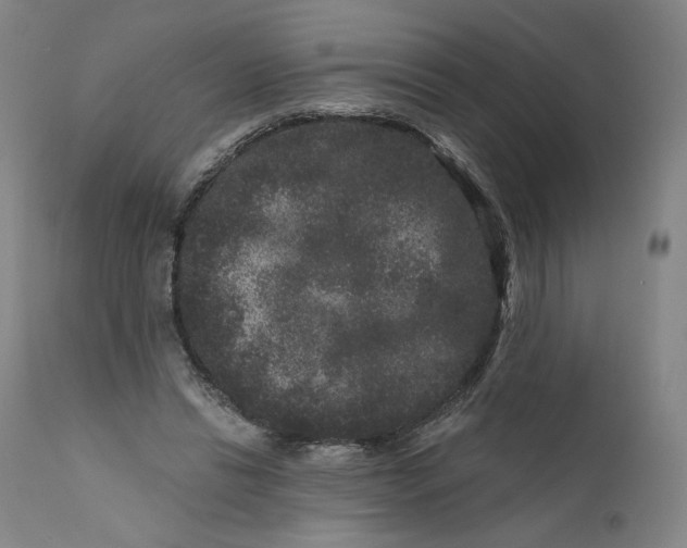 X0000111640446200908071346