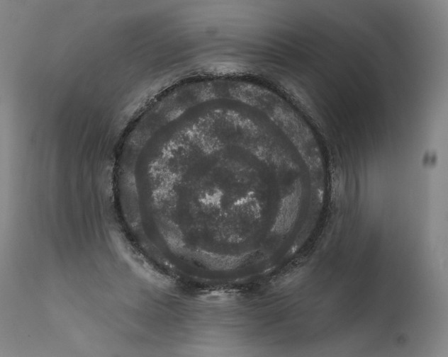 X0000111640447200908071346