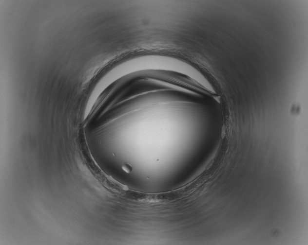 X0000111640448200908071346