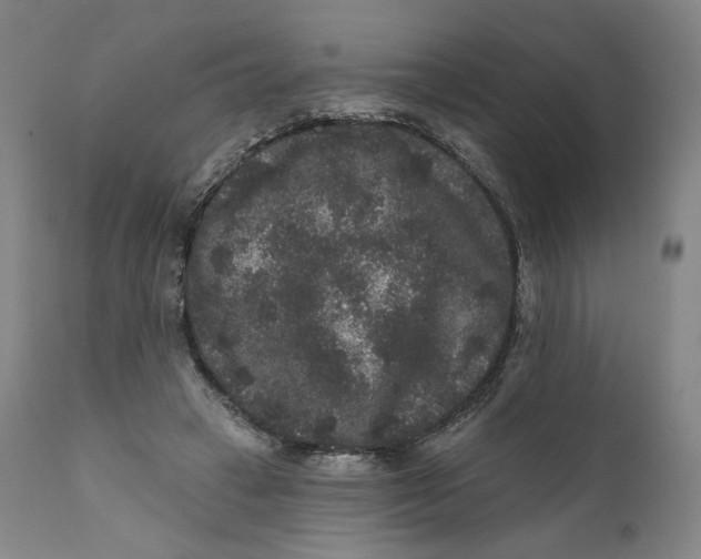 X0000111640449200908071346