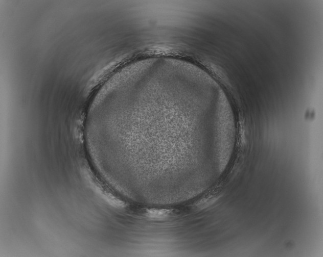 X0000111640450200908071346