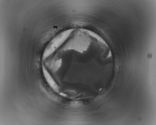 X0000111640451200908071346