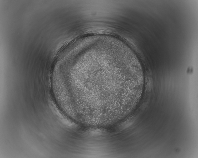 X0000111640453200908071346