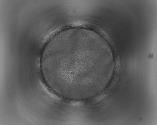 X0000111640454200908071346