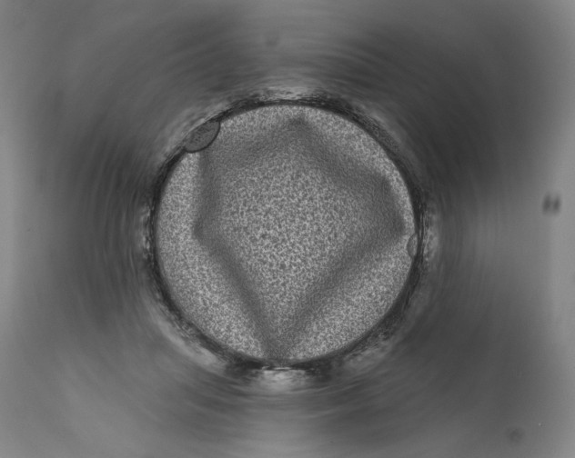 X0000111640455200908071346