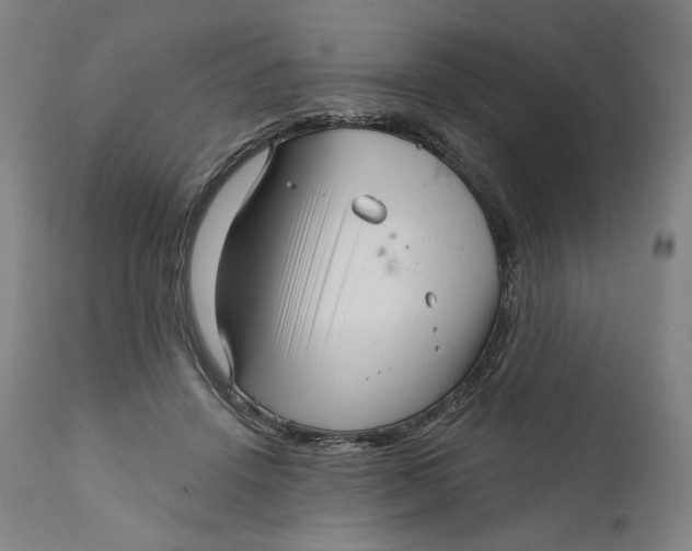 X0000111640456200908071346