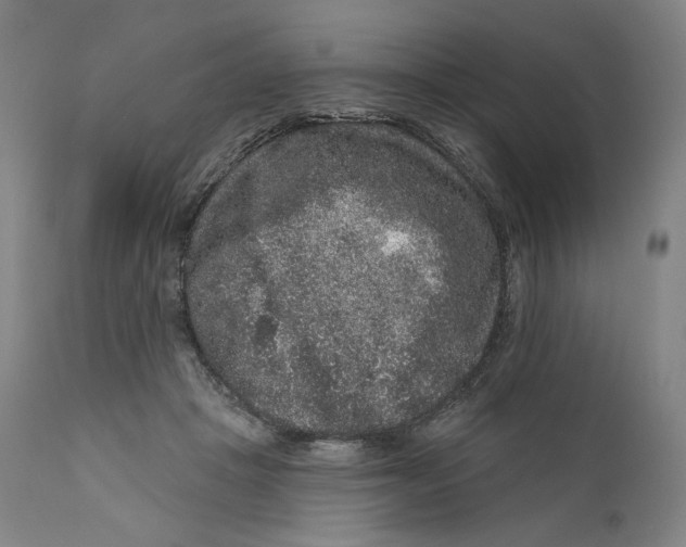 X0000111640457200908071346