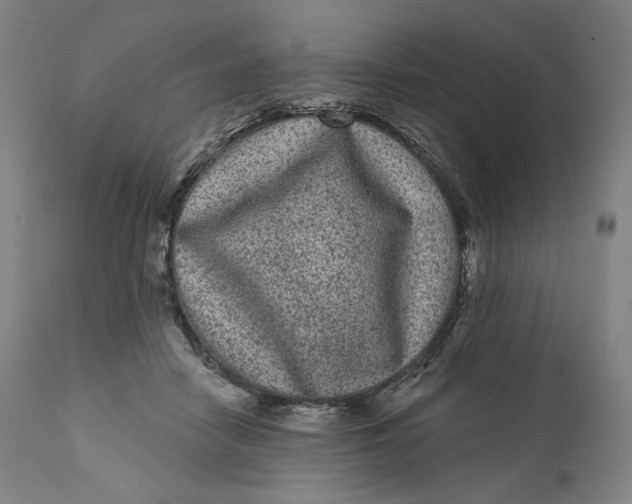 X0000111640458200908071346