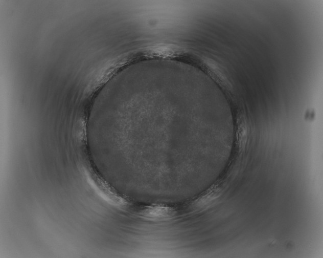 X0000111640459200908071346