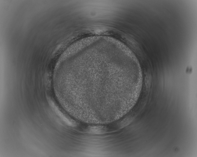 X0000111640461200908071346