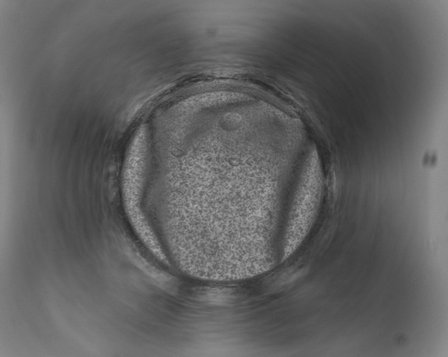 X0000111640462200908071346