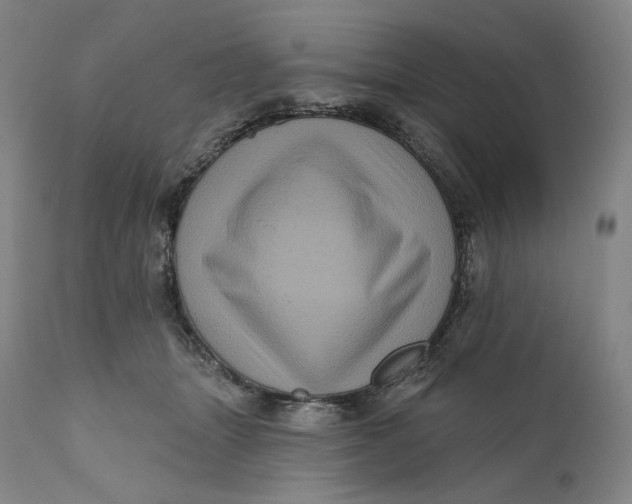 X0000111640463200908071346